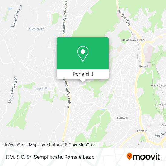 Mappa F.M. & C. Srl Semplificata