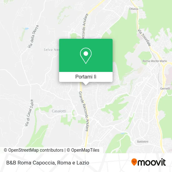 Mappa B&B Roma Capoccia