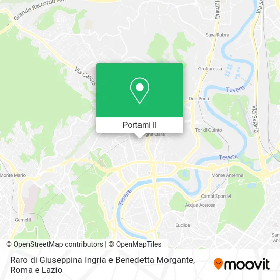 Mappa Raro di Giuseppina Ingria e Benedetta Morgante