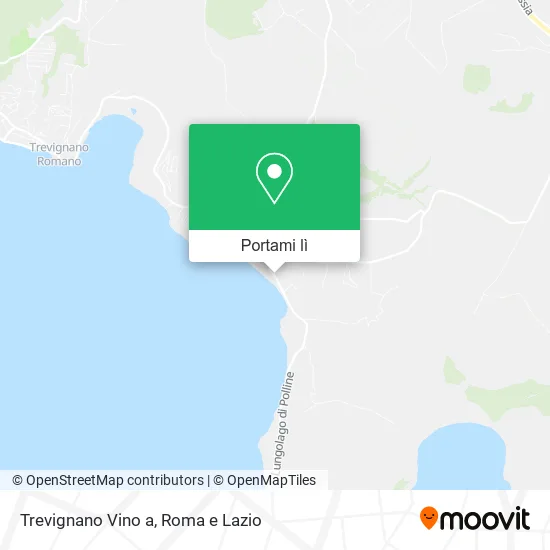 Mappa Trevignano Vino a