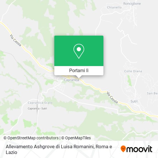 Mappa Allevamento Ashgrove di Luisa Romanini