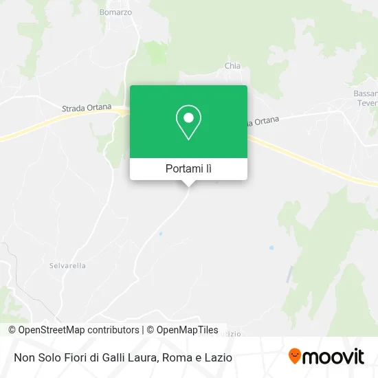 Mappa Non Solo Fiori di Galli Laura