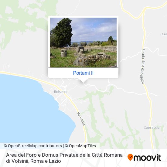 Mappa Area del Foro e Domus Privatae della Città Romana di Volsinii