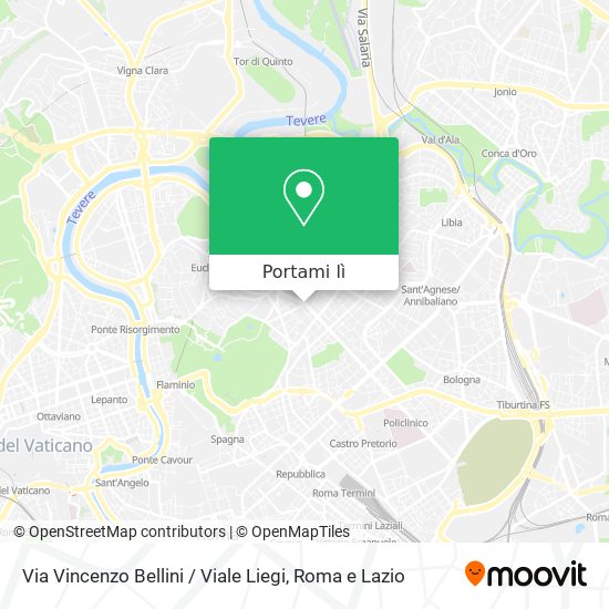 Mappa Via Vincenzo Bellini / Viale Liegi