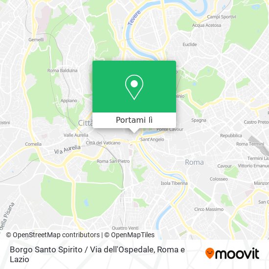 Mappa Borgo Santo Spirito / Via dell'Ospedale