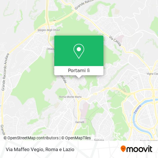 Mappa Via Maffeo Vegio