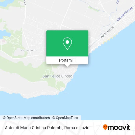 Mappa Aster di Maria Cristina Palombi