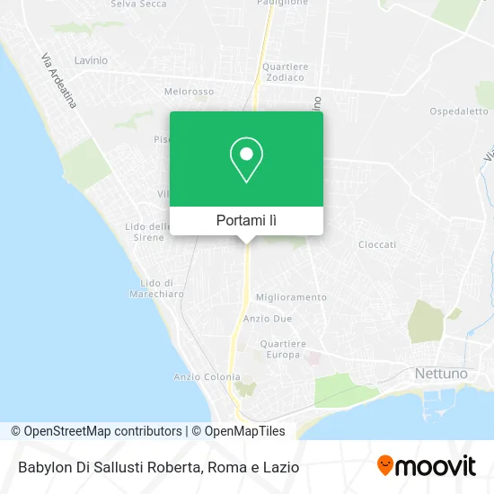 Mappa Babylon Di Sallusti Roberta