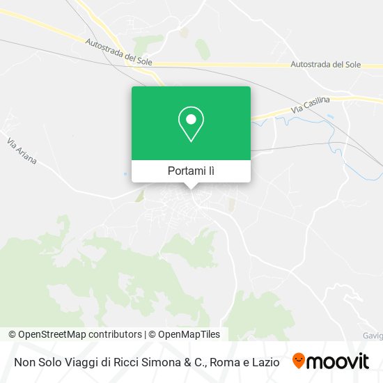 Mappa Non Solo Viaggi di Ricci Simona & C.