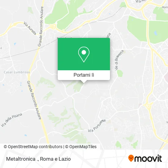 Mappa Metaltronica .