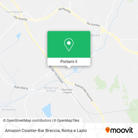 Mappa Amazon Counter-Bar Breccia