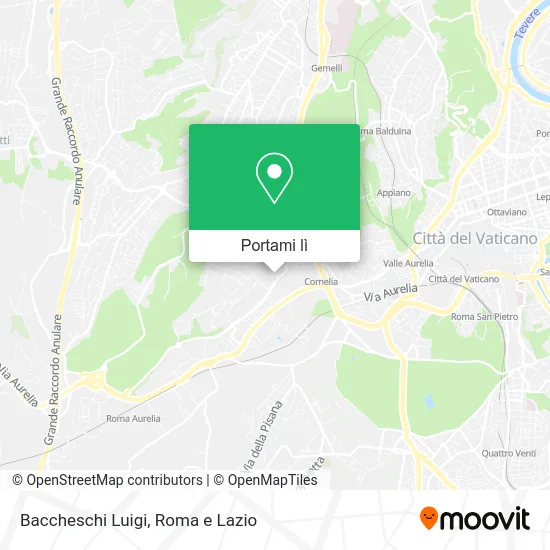 Mappa Baccheschi Luigi