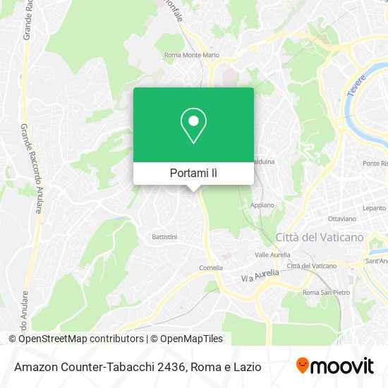 Mappa Amazon Counter-Tabacchi 2436