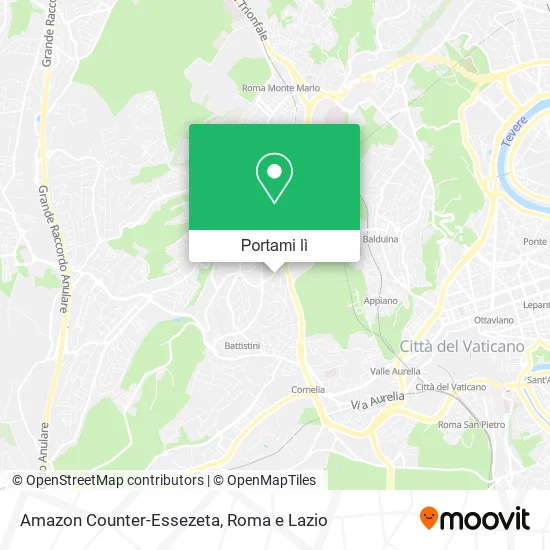 Mappa Amazon Counter-Essezeta