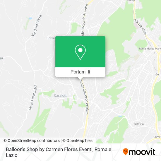 Mappa Balloon's Shop by Carmen Flores Eventi