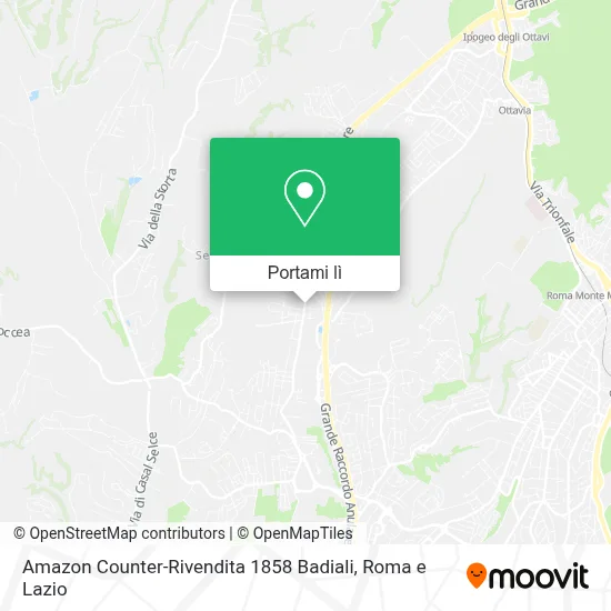Mappa Amazon Counter-Rivendita 1858 Badiali
