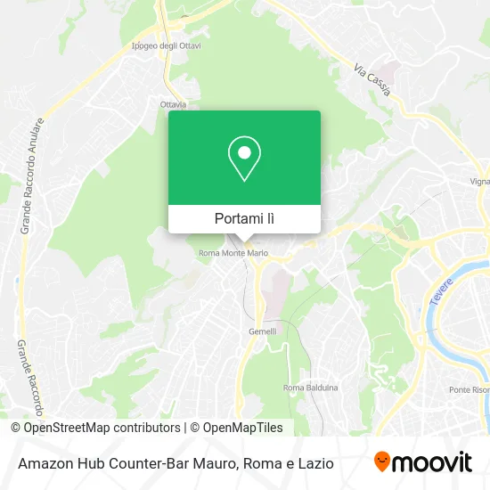 Mappa Amazon Hub Counter-Bar Mauro
