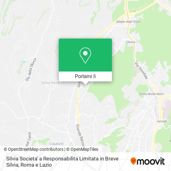 Mappa Silvia Societa' a Responsabilita Limitata in Breve Silvia