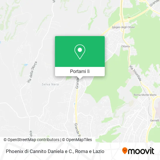 Mappa Phoenix di Cannito Daniela e C.