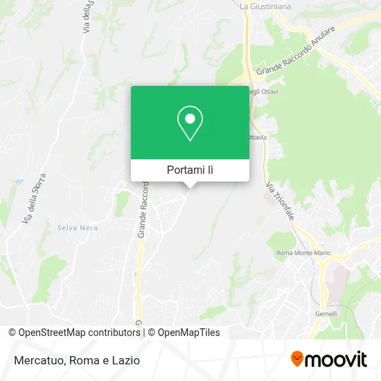 Mappa Mercatuo