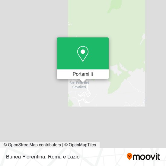 Mappa Bunea Florentina