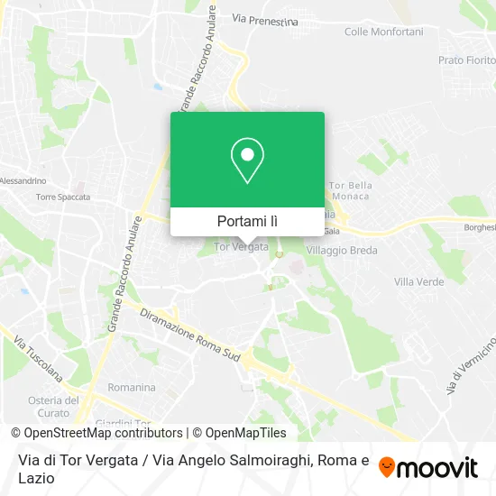 Mappa Via di Tor Vergata / Via Angelo Salmoiraghi