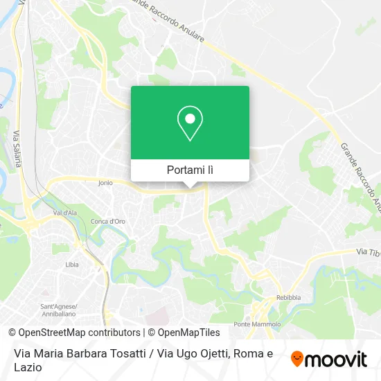 Mappa Via Maria Barbara Tosatti / Via Ugo Ojetti