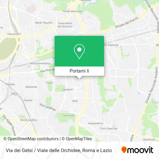 Mappa Via dei Gelsi / Viale delle Orchidee