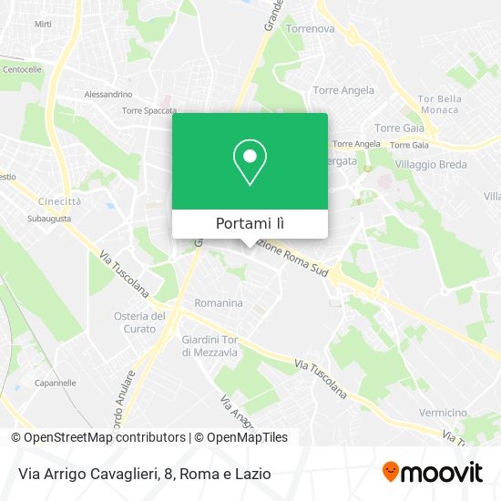 Mappa Via Arrigo Cavaglieri, 8