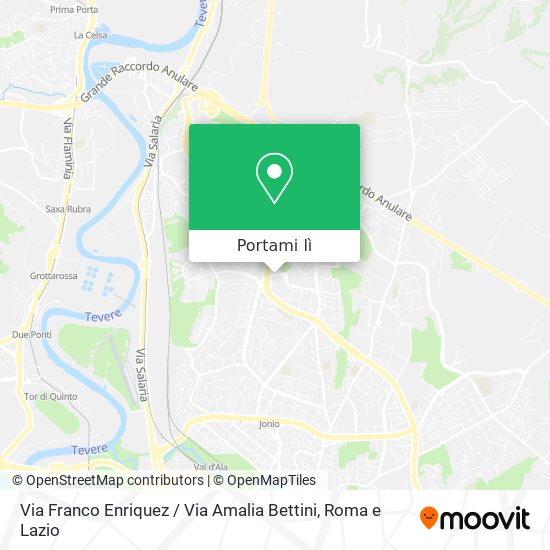 Mappa Via Franco Enriquez / Via Amalia Bettini
