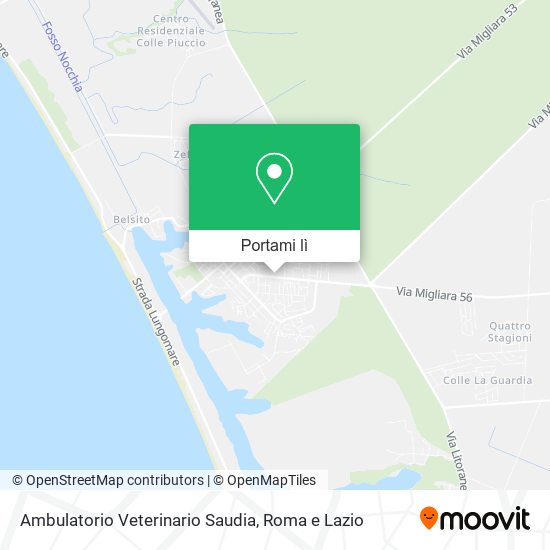 Mappa Ambulatorio Veterinario Saudia