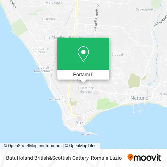 Mappa Batuffoland British&Scottish Cattery