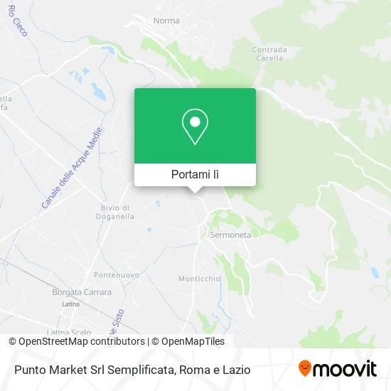 Mappa Punto Market Srl Semplificata