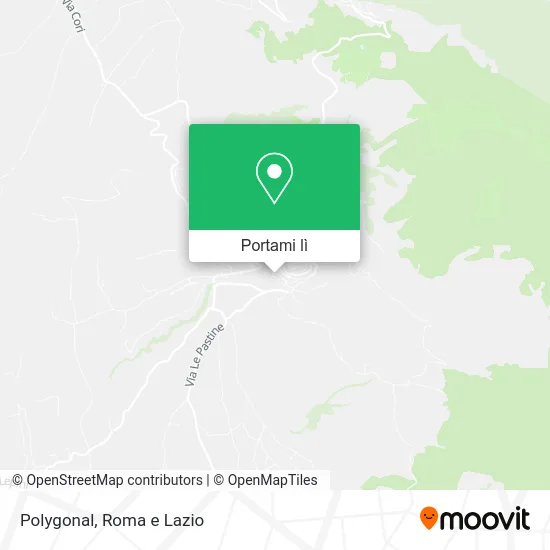 Mappa Polygonal