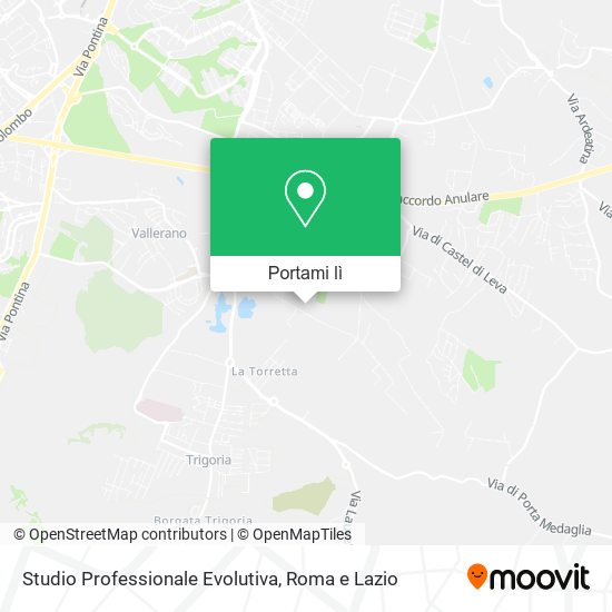 Mappa Studio Professionale Evolutiva