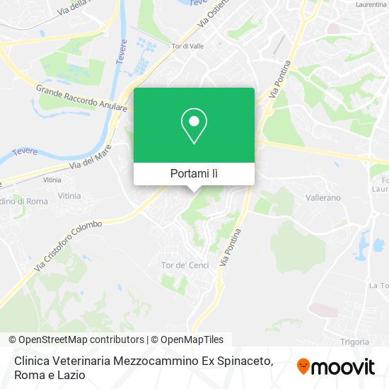 Mappa Clinica Veterinaria Mezzocammino Ex Spinaceto