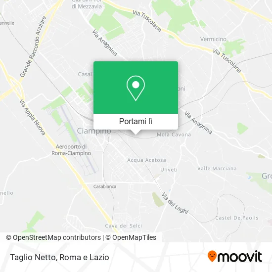 Mappa Taglio Netto
