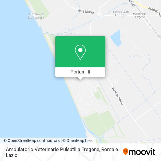 Mappa Ambulatorio Veterinario Pulsatilla Fregene