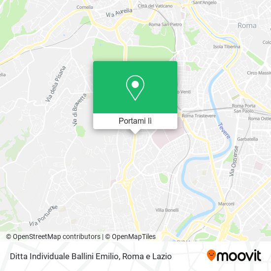 Mappa Ditta Individuale Ballini Emilio