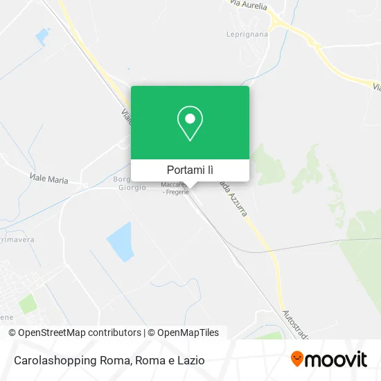 Mappa Carolashopping Roma