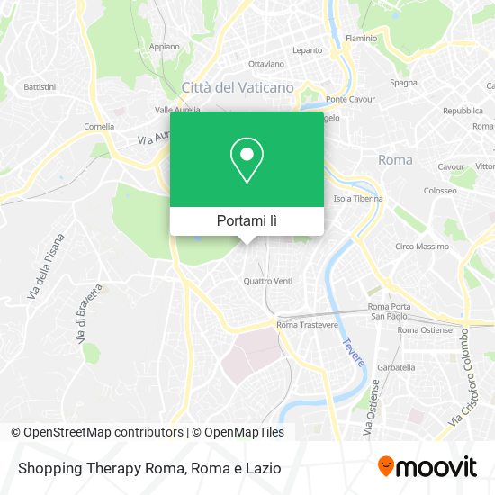 Mappa Shopping Therapy Roma