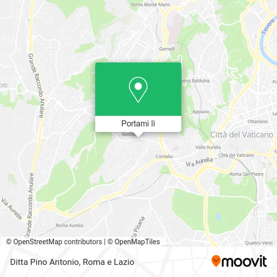 Mappa Ditta Pino Antonio