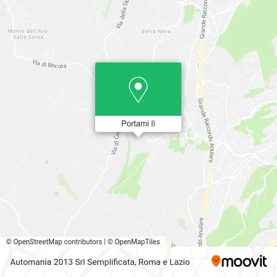 Mappa Automania 2013 Srl Semplificata