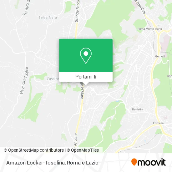 Mappa Amazon Locker-Tosolina