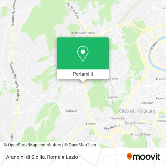 Mappa Arancini di Sicilia