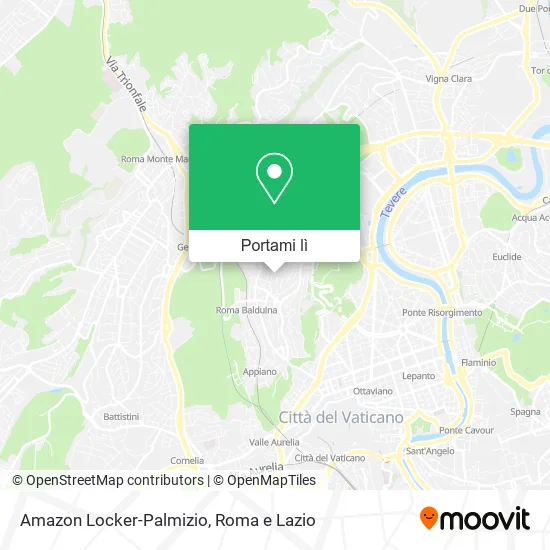 Mappa Amazon Locker-Palmizio