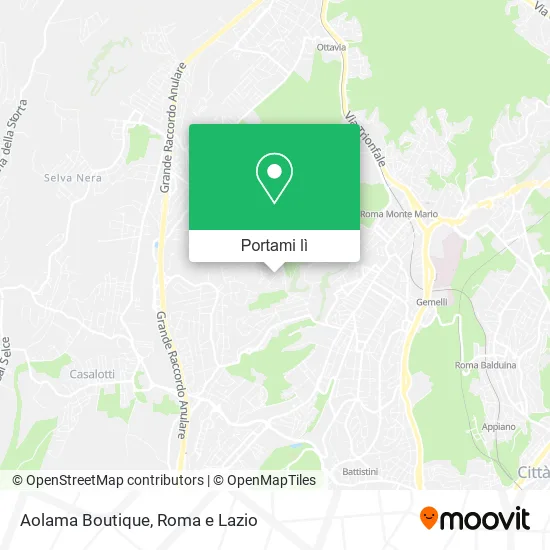 Mappa Aolama Boutique