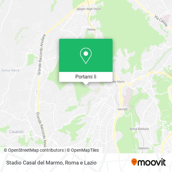 Mappa Stadio Casal del Marmo