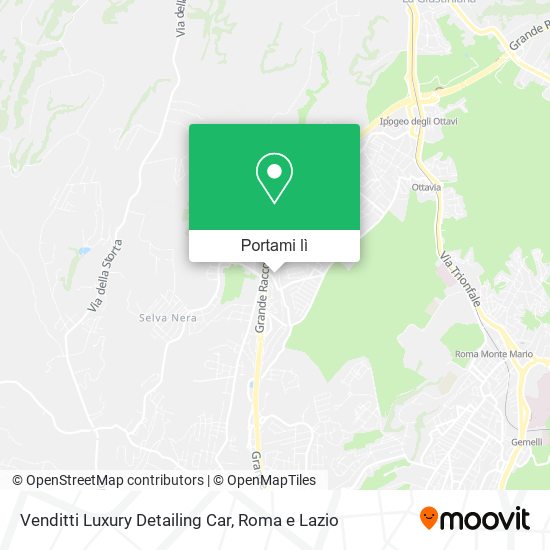 Mappa Venditti Luxury Detailing Car