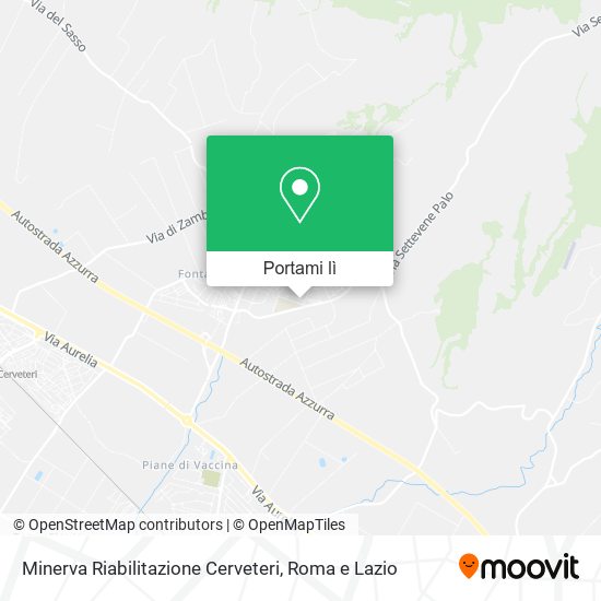 Mappa Minerva Riabilitazione Cerveteri